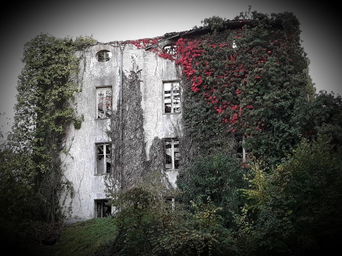 Chambres d'Hôtes Maison La Porte Rouge Niort Extérieur photo